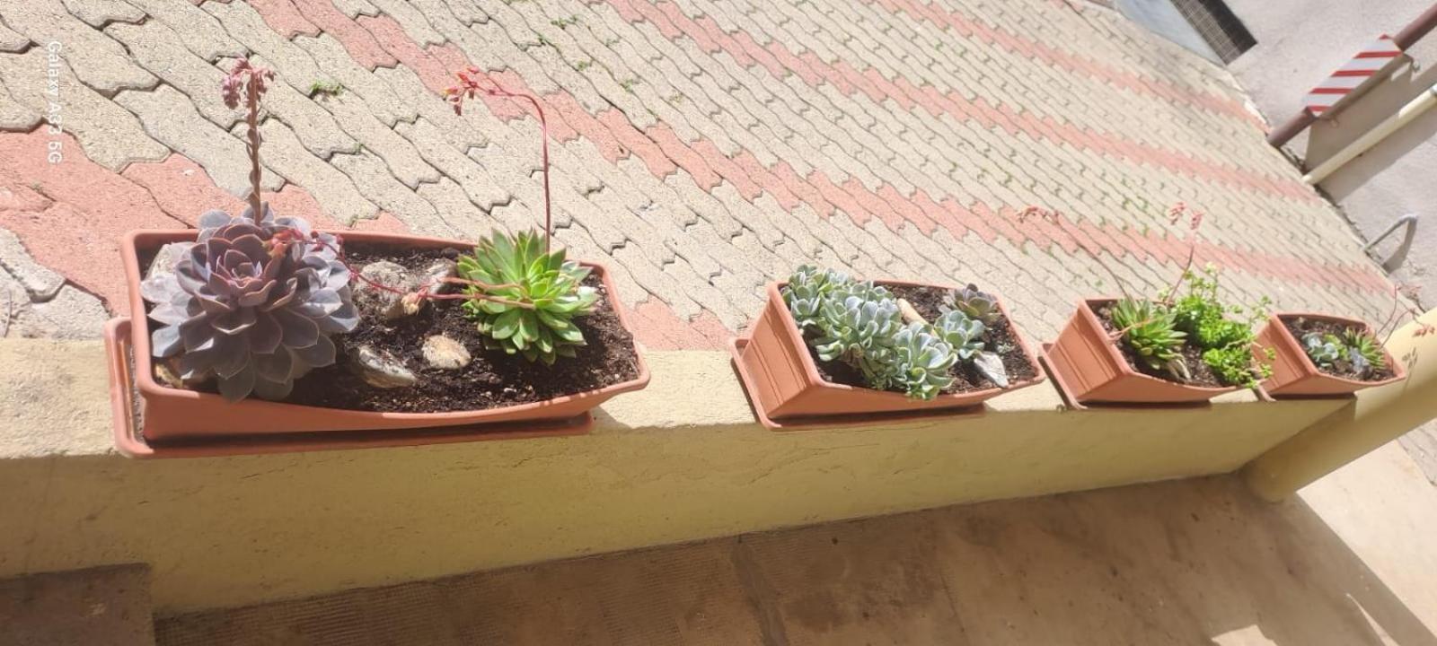 Apartamento La Casa Di Pepe San Remo Exterior foto